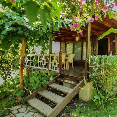 Tatil parkı Zeytin Çıralı