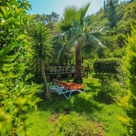 Zeytin Tatil parkı *