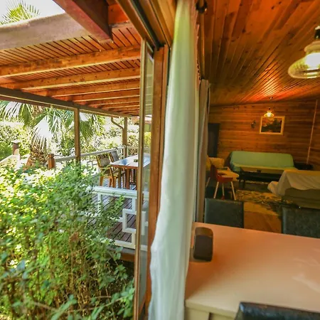 Tatil parkı Zeytin