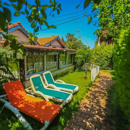 Zeytin Tatil parkı *