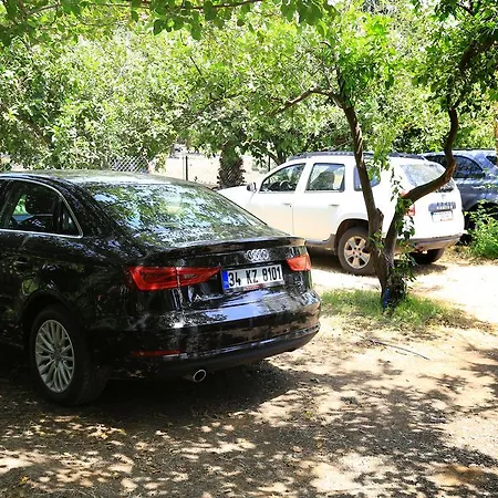 Zeytin Tatil parkı *