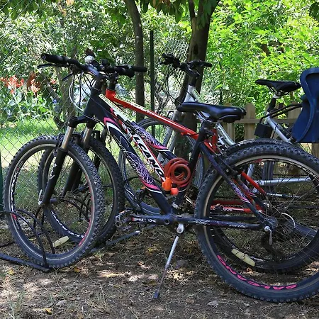 Tatil parkı Zeytin *