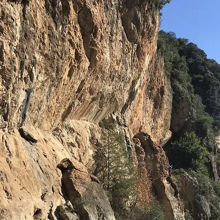 Tatil parkı Zeytin Çıralı